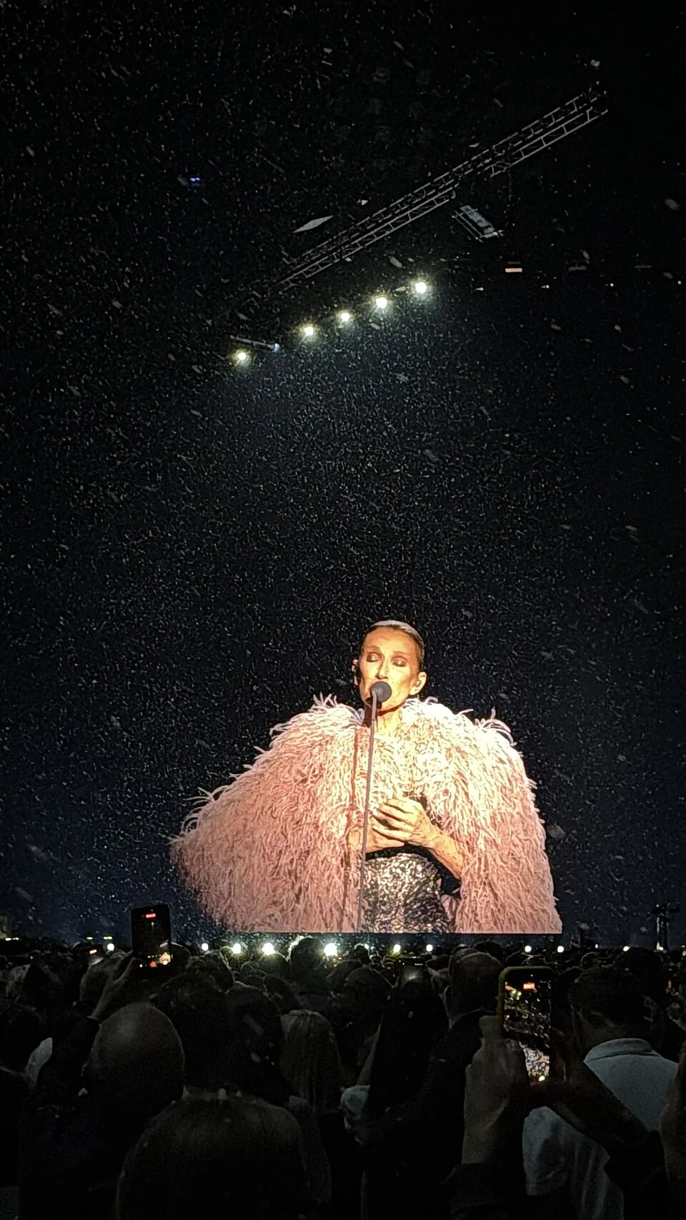 Céline Dion im Federkostüm auf einer großen Konzertbühne in Paris vor Publikum, 2026